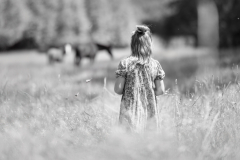 Wilma_Pferde_Wiese_Weira_SW